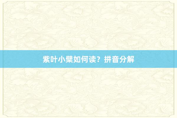 紫叶小檗如何读？拼音分解